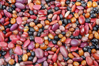 Mexican Beans