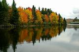 Fall season - Androscogin river, NH