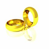 Gold Wedding Rings on White