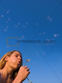 Girl blowing dandelion in front of the clear blue sky