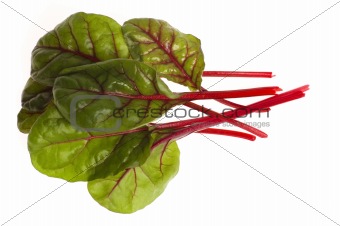 fresh vegetables - spinach beet