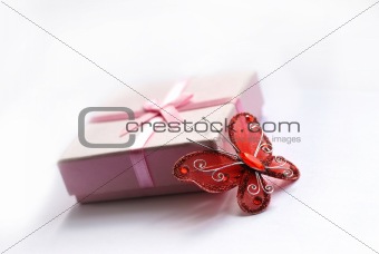 Tender gift with butterfly isolated on white background