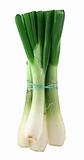 bunch of spring onion