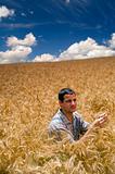 farmer in a wheat field
