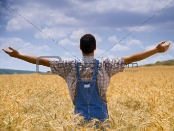 farmer in wheat field with arms spread out