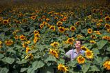 farmer in sunflower field