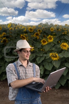 farmer in sunflower field with laptop