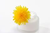 Cream with Dandelion flower
