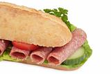 Garnished Salami sandwich
