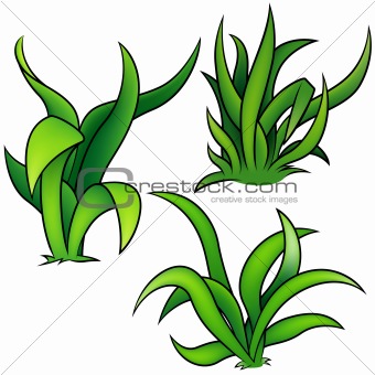Cartoon Plants Pictures
