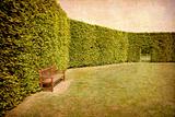 Park with geometrical hedges.