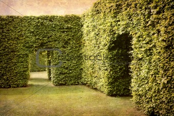 Park with geometrical hedges.