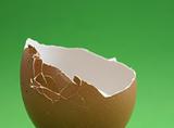 broken eggshell