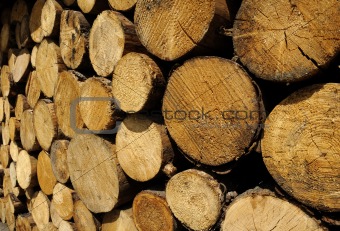 Stacked Logs