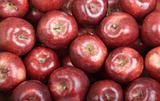 Deep Red Fresh Picked Organic Apples