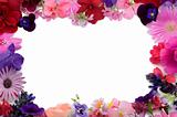 floral background frame