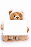 Teddy bear with blank card