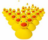 Horde of rubber duckies