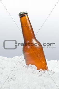 Beer on ice