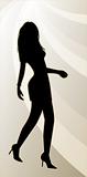 A sexy female silhouette