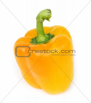 one yellow paprika on white background
