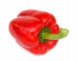 red paprika on white background