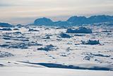 Ice field in Greenland