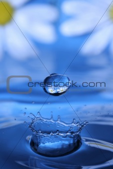 waterdrop with reflection of a flower