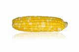Corn Cob On White Background