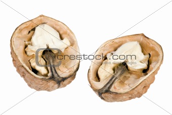 walnut closeup with path on white background