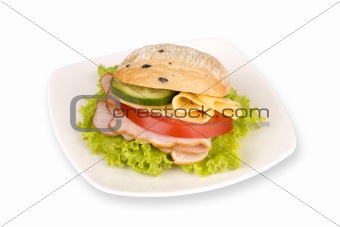 sandwich on white plate
