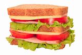 Large sandwich