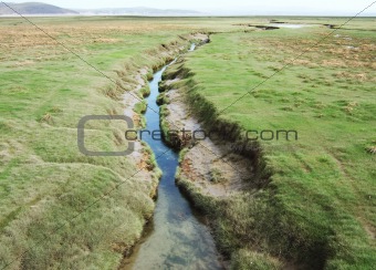 Drainage channel running through coastal salt marsh at Grange-over-sands in Cumbria