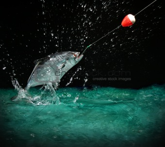 Catching a big fish at night