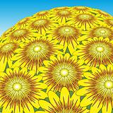 Sunflower bunch