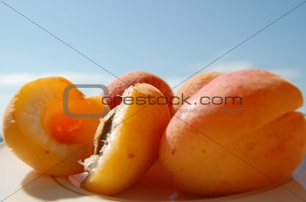 Apricot 1