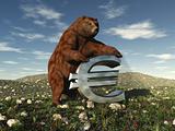 A bear bearing down on a Euro sign signifying "the bear market"