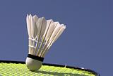 Badminton Birdie and Racket