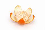 fruits ripe orange on white