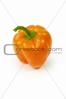 Bulgarian orange pepper