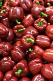 Red peppers on a market stall
