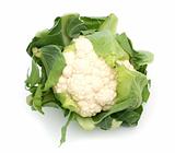cauliflower on white background