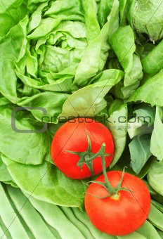 two tomatoes on greens background