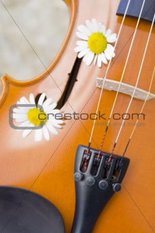 Violin (series)