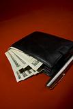 Wallet and pen