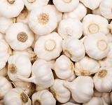 Pile of Garlic