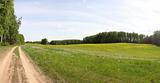 Panoramic Summer Field