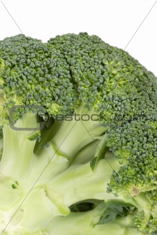 Broccoli Close-Up