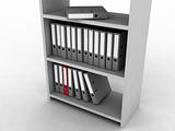 Shelf with folders for documents