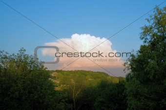 Green wood and storm cloud